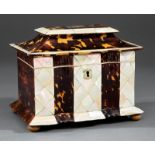 George III Mother-of-Pearl and Tortoiseshell Sarcophagus-Form Tea Caddy, c. 1820, two lidded