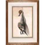 Achille Perelli (American/New Orleans, 1822-1891), "Nature Morte: Green-Winged Teal", watercolor