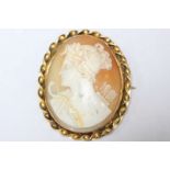 A 9ct gold framed cameo brooch, approximate weight 14.4grms, depicting Diana the Huntress.