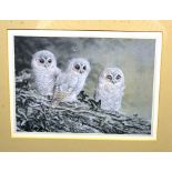 David Parry, a print of three little owls. 7.5in (19cm) x 10.25in (27cm). Framed and glazed.