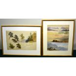 Two framed watercolours, studies of different species of trees, 9in (23cm) x 14in (36cm) and a