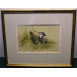 David Parry a signed watercolour of a lapwing. 8in (20cm) x 12.5in (32cm). Framed and glazed.