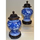 A pair of Chinese late nineteenth century blue and white porcelain baluster vases, decorated prunus,