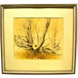 Claire Dalby (nee Longbathom). Three signed watercolours in pencil, Yew Trees, Box Hill 9.5in (24cm)
