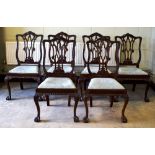 A set of six Edwardian mahogany side chairs, the shaped pierced splat backs carved in the style of