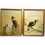 Tom Flower. A pair of early twentieth century signed watercolours of Australian birds, a