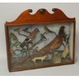 Taxidermy - a 19th Century French tableau including pheasant, Jay, Kingfisher,