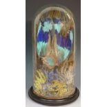 Taxidermy - a late 19th Century exotic bird with turquoise and blue feathers in naturalistic