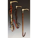 A selection of three hunting whips, all with antler handles and silver collars,