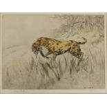 Henry Wilkinson - retriever with pheasant in its mouth, coloured etching,