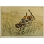 Henry Wilkinson - pair of bounding gun dogs, coloured etching,