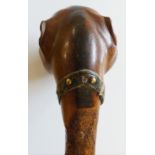 A walking stick with dog's head terminal, amber glass eyes, brass stud collar, iron ferrule, 88.