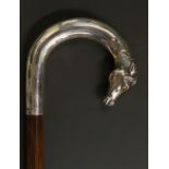 An Edwardian walking stick,