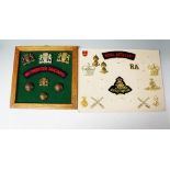 Westminster Dragoons, cap badges, collar, buttons and cloth shoulder title,