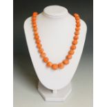 A Victorian pineapple cut pink coral necklace of graduated beads, 0.7cm to 1.