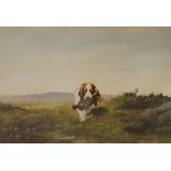 Rex Flood - gun dog retrieving a bird in extensive moorland landscape,