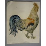 Harold Cook - Cockerel, coloured screen print numbered 3/15, signed in pencil lower right,