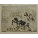 Henry Wilkinson - pair of gun dogs one retrieving a duck, limited edition coloured engraving,