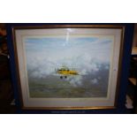 A signed limited edition Print of Tiger Moth,