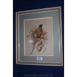 A nicely detailed framed Watercolour of Pheasant, signed Andrew Alexander, 38 x 33 cms.