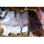 ANIMAL SKINS. Quantity of animal skins including deer