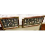 NAUTICAL DISPLAYS. Two framed and glazed nautical displays, mainly showing knots