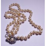 SINGLE STRAND OF PEARLS. Single strand set of pearls with silver clasp, L ~ 56cm