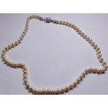 SINGLE STRAND OF PEARLS. Single strand set of faux pearls with silver clasp, L ~ 56cm