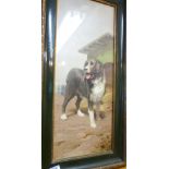 ALBERT NEWFOUNDLAND WATERCOLOUR. Antique watercolour of Newfoundland dog, signed Georges Albert,