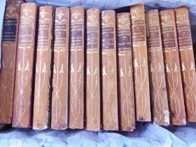 BOOKS. The Works Of Robert Brown 1898 books, twelve volumes