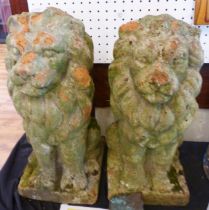 STONE LION GARDEN FIGURES. Pair of cast stone lion garden figures, H ~ 55cm