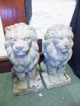 STONE LION GARDEN FIGURES. Pair of cast stone lion garden figures, H ~ 55cm