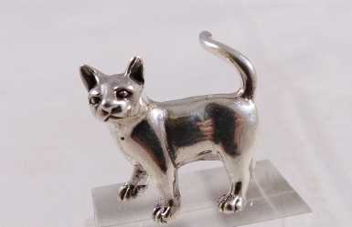 SILVER CAT. Silver cat