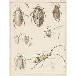 Biologie - Zoologie - - Geoffroy, Etienne Louis. Histoire abregée des insects qui se trouvent aux