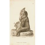 Biologie - Zoologie - - Shaw, George. Zoological Lectures delivered at the Royal Institution 1806