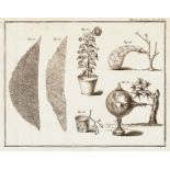 Land- und Forstwissenschaft - - Duhamel du Monceau, Henri Louis. La physique des arbres; où il est