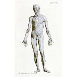 Medizin - Anatomie - - Barth, Joseph. Anfangsgründe der Muskellehre. Mit 45 Kupfertafeln und 16