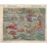 Sebastian Munster 1552 [Monsters] Les Monstres Marins & Terrestres, Lesquelz on Trouve en Beaucoup
