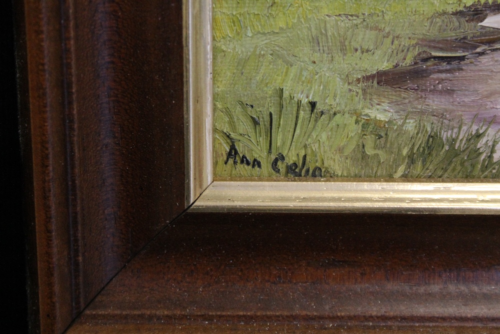 ANN CELIA FREEMAN - a collection of 11 of Anne Celia Freeman's oil paintings. - Image 4 of 4