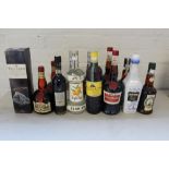 SPIRITS AND LIQUEUR - 13 bottles to include 1 x Cherry Brandy Marie Brizard (700ml 24%),