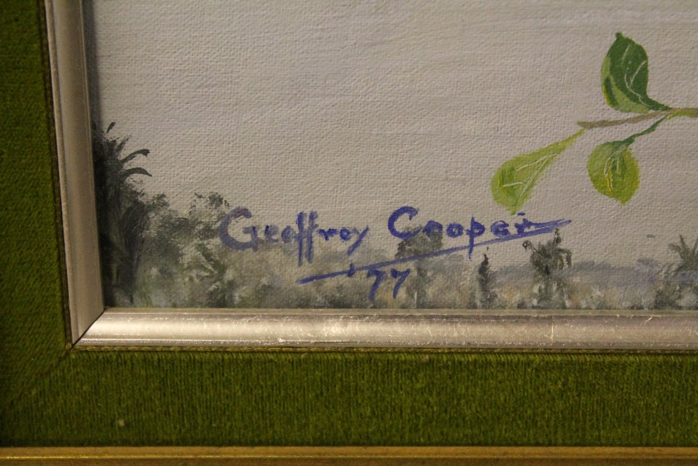 GEOFFREY COOPER - 2 framed still life flower paintings by artist Geoffrey Cooper. One dated 1977. - Image 3 of 3