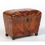 A Regency tortoiseshell dome top tea caddy.