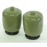 Pair of Chinese Celadon Lidded Ginger Jars