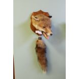 Taxidermy fox mask and brush