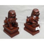 Pair of Chinese Lion Dogs