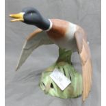 Spode Bone China Figure of A Mallard Taking Off