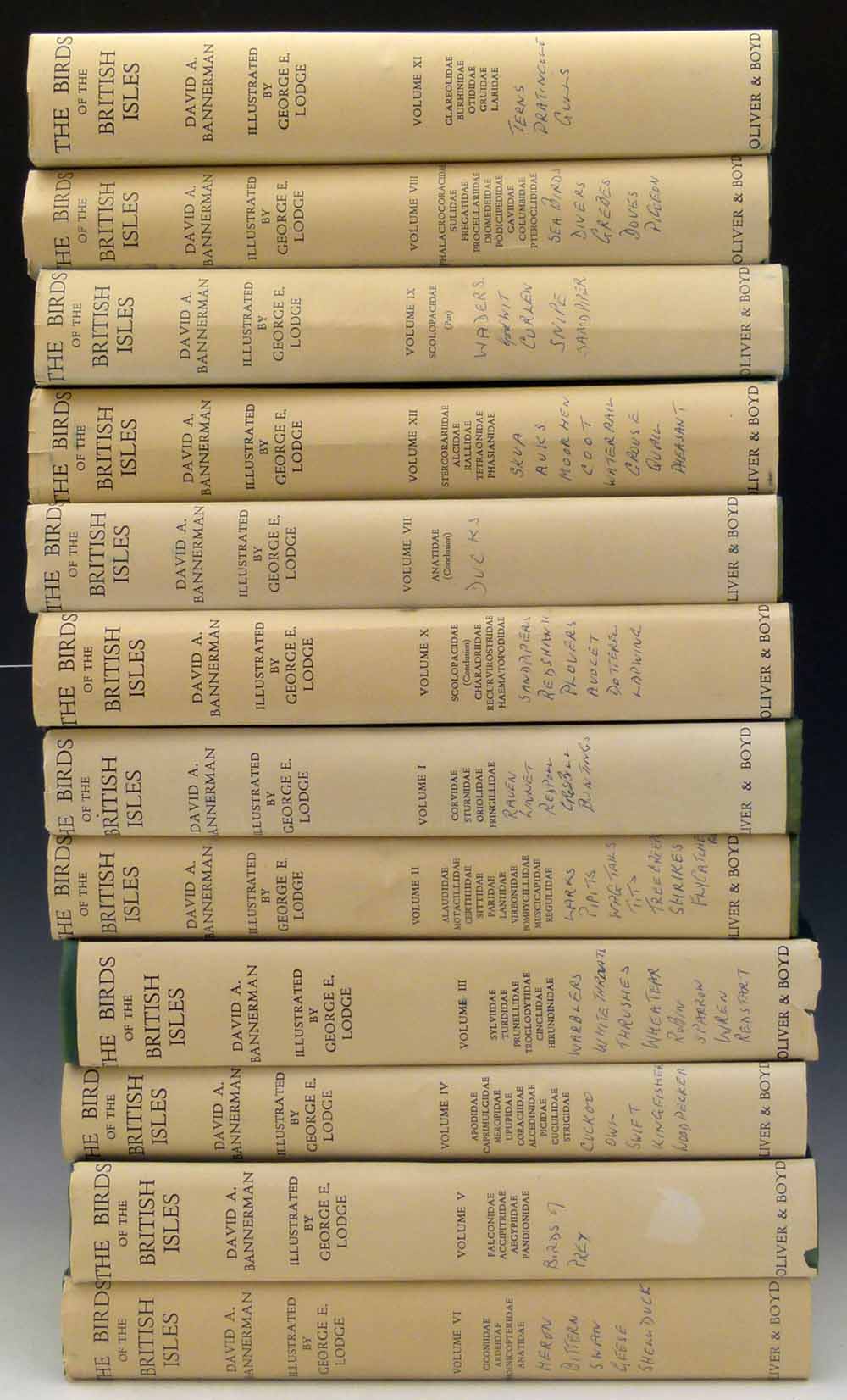 Bannerman & Lodge, The Birds of the British Isles 1953/63, 12 vols, small 4to, green cloth, dust - Image 2 of 3