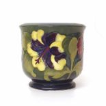 Moorcroft Hibiscus jardiniere. Condition report: see terms and conditions