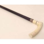 Walking cane ebony shaft with ivory handle. Condition report: see terms and conditions