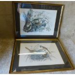 A Pair of Coloured Bird Prints "Siskin and Bearded Tit" in gilt frames,
